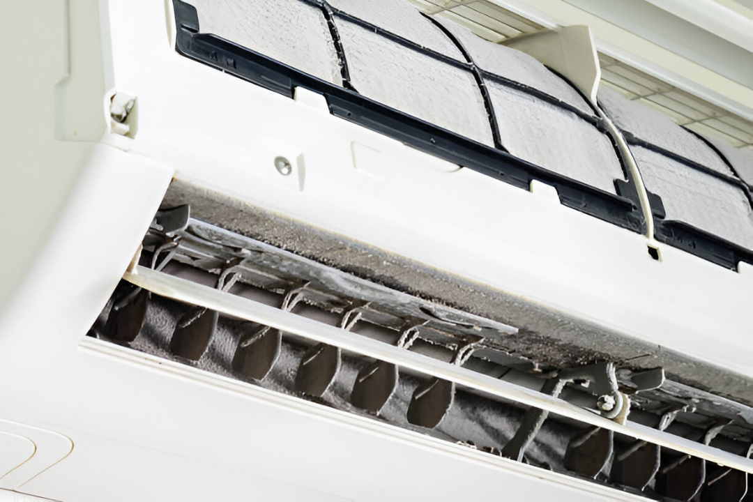 istockphoto-931684274-612×612 istockphoto-931684274-612x612